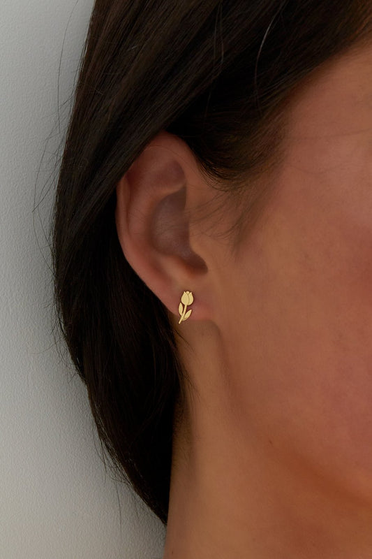 Studs Tulp