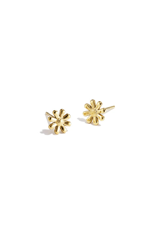 Studs Daisy