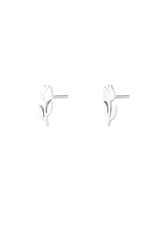 Studs Tulp